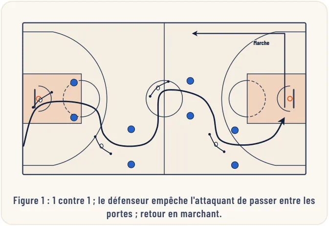 Aspects théoriques de la préparation physique – illustration 1