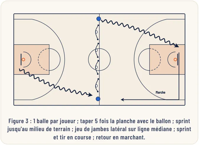 Aspects théoriques de la préparation physique – illustration 3