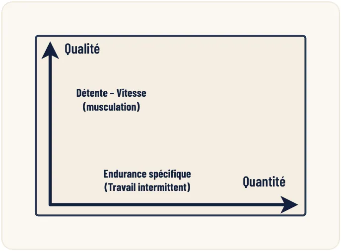 Aspects théoriques de la préparation physique – illustration 5