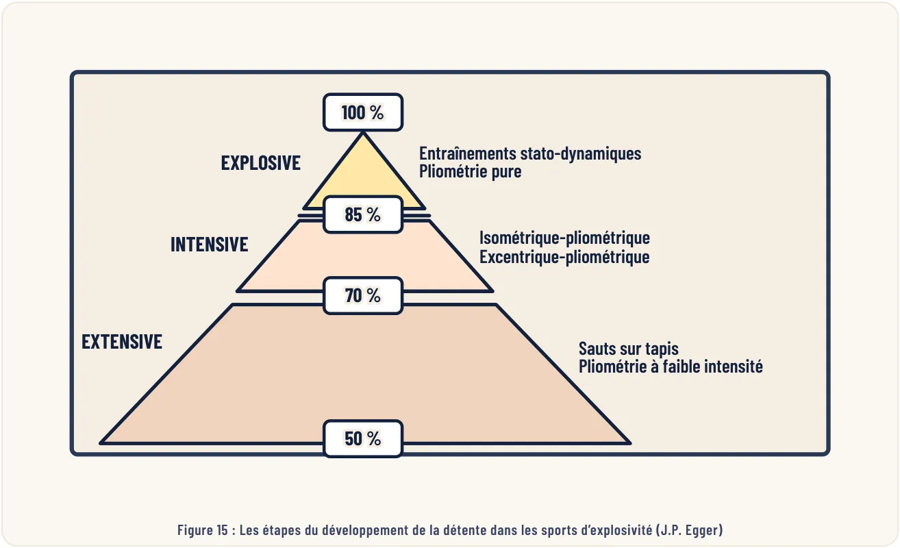La planification annuelle de la prépa physique – illustration 1